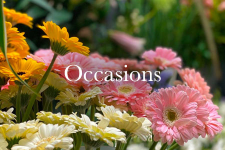 Same day delivery, 6 days a week across York - Floral Elegance Florist,  Acomb